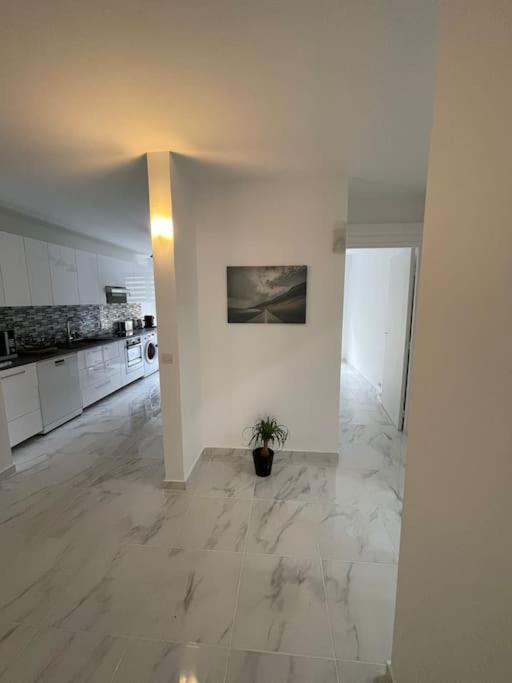 Superbe Appartement Carre Delfino Port De 尼斯 外观 照片