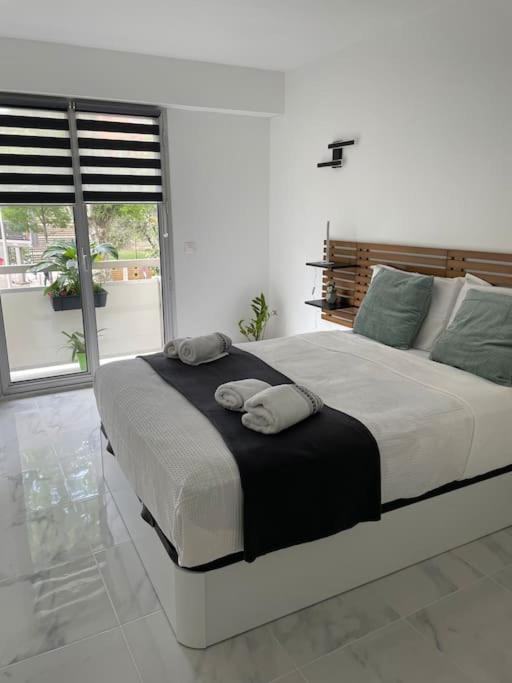 Superbe Appartement Carre Delfino Port De 尼斯 外观 照片